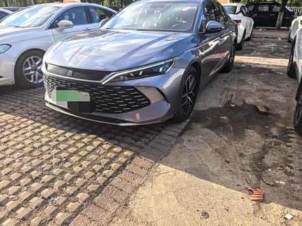 Qin L 2024 DM-i 80KM