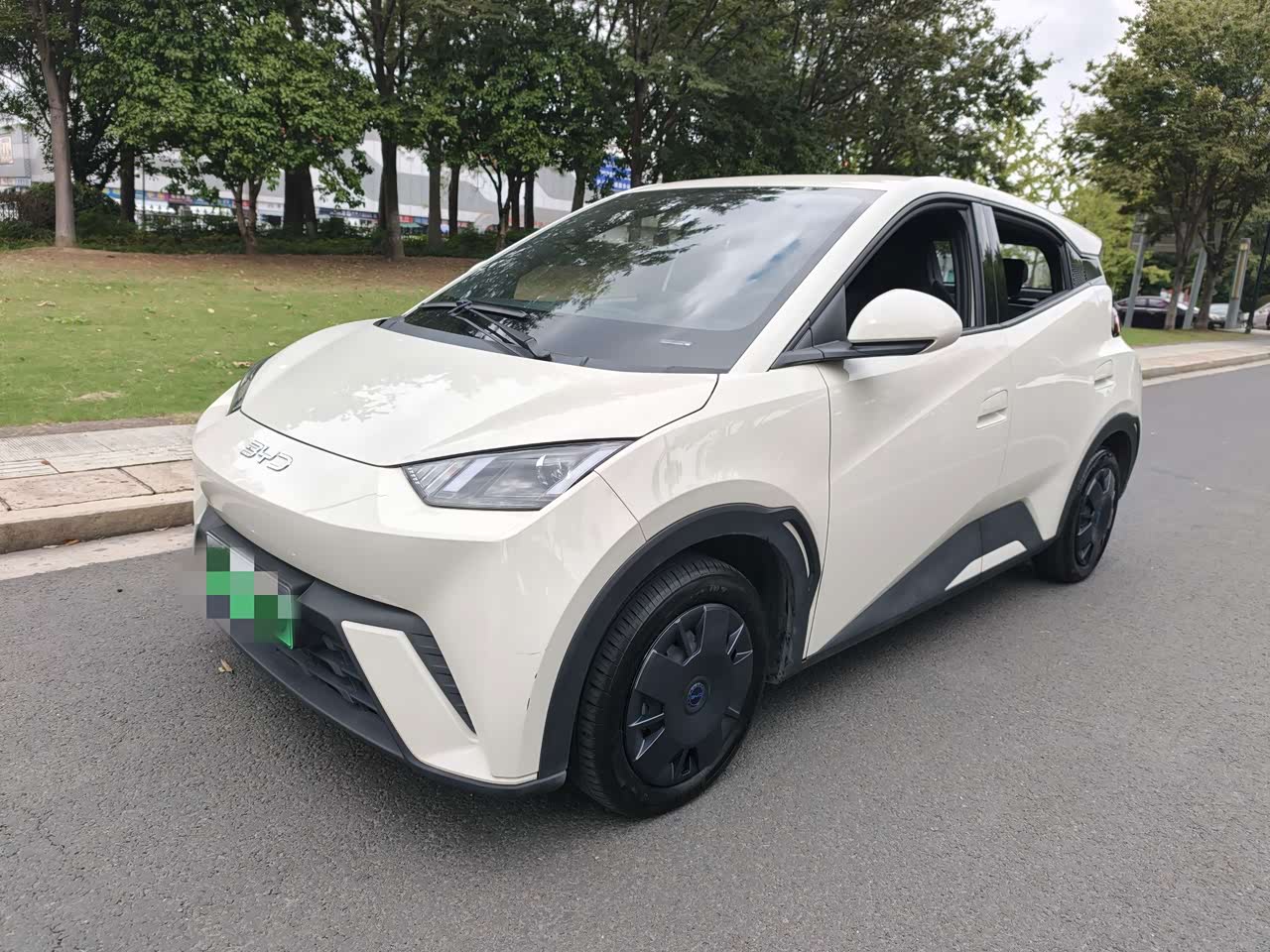 Seagull 2025 305km
