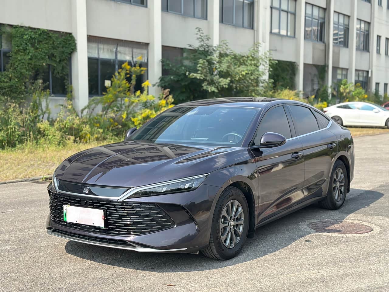 Qin L 2024 DM-i 80KM Leading