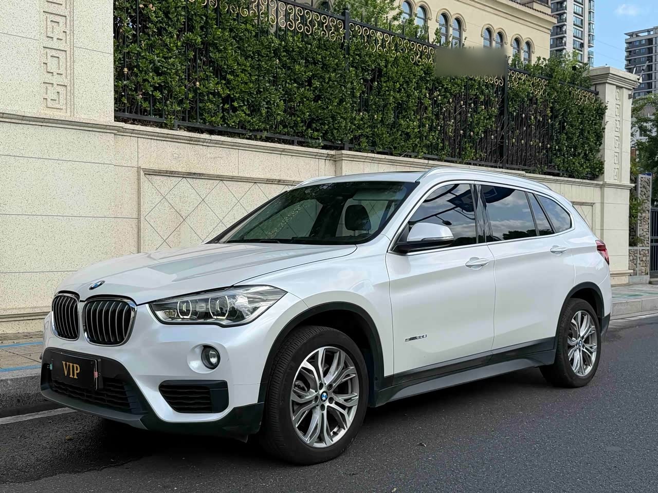 X1 2018 sDrive20Li Leading