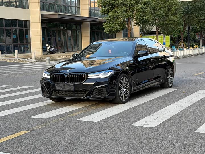 5 Series 2019 530Li Leading M Sport Package