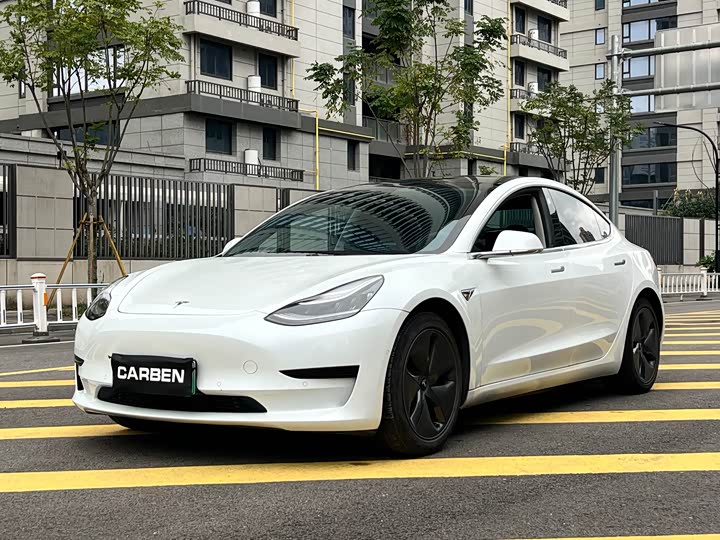 Model 3 2021 Facelift Standard Range RWD Upgraded 3D1