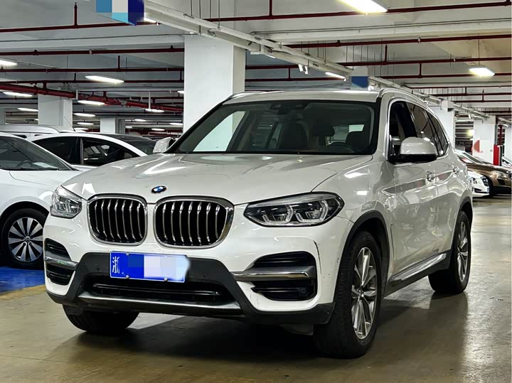 X3 2020 xDrive25i Luxury