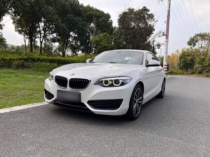 BMW 宝马2系进口 2018款 220i 运动设计套装