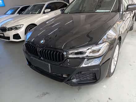 5 Series 2020 530Li xDrive Luxury