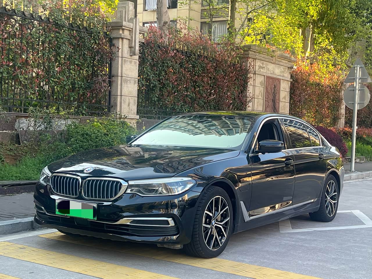 5 Series EV 2020 530Le