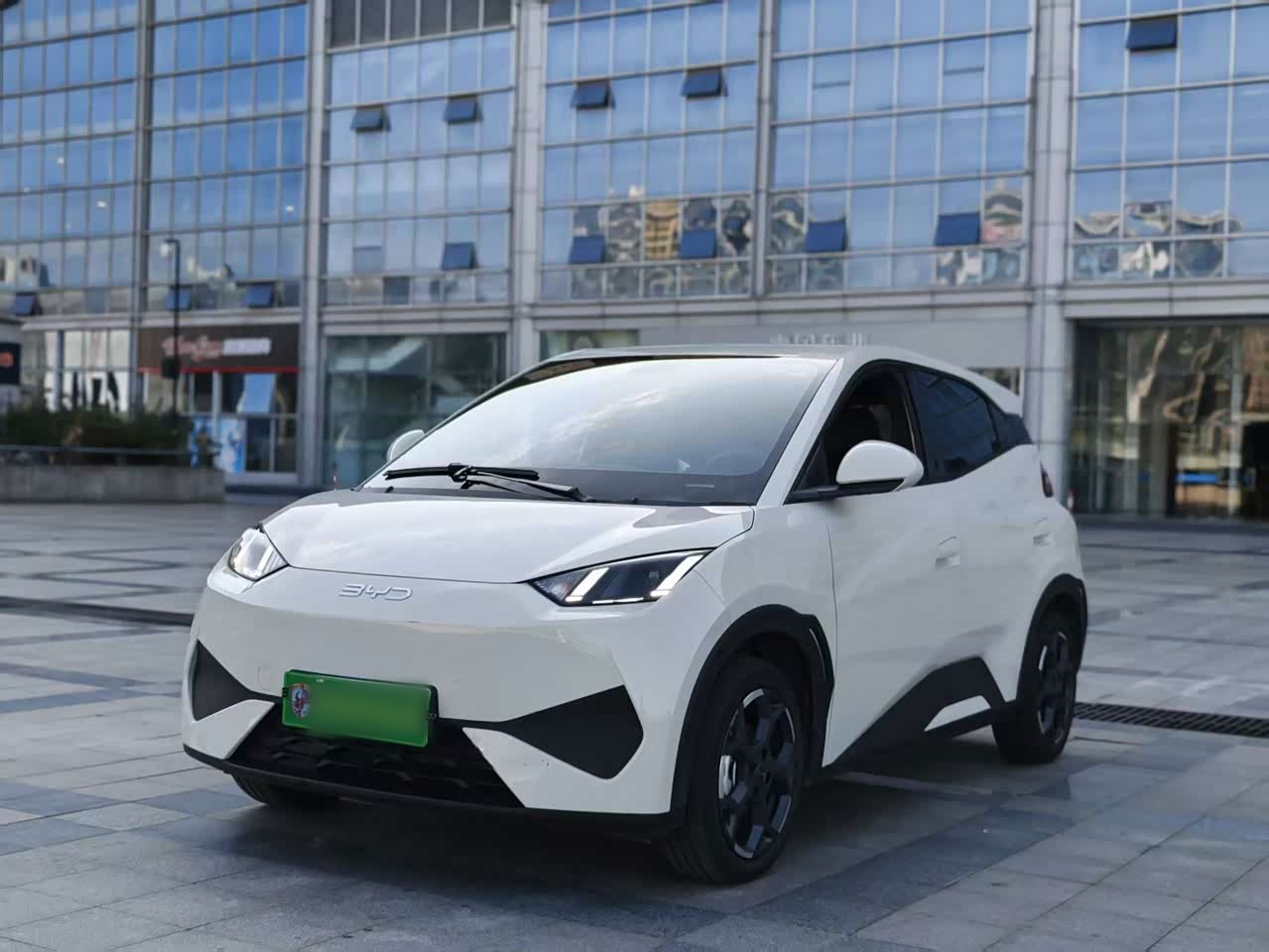 Seagull 2025 ADAS 405km