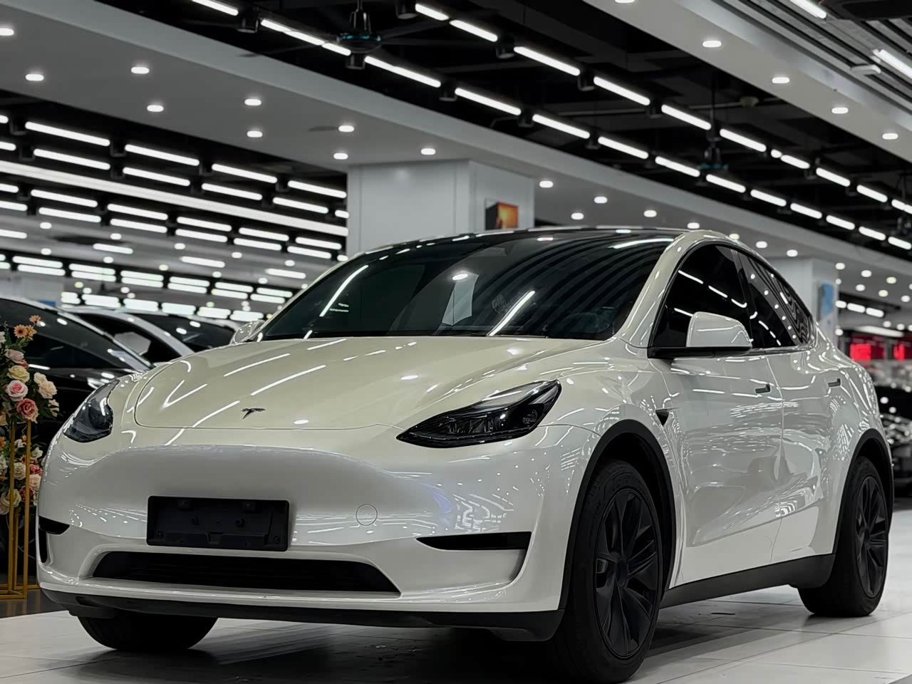 Model Y 2024 RWD
