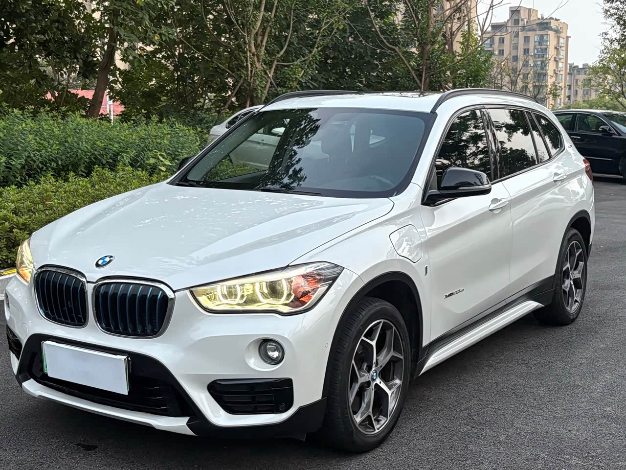 X1 EV 2017 xDrive25Le