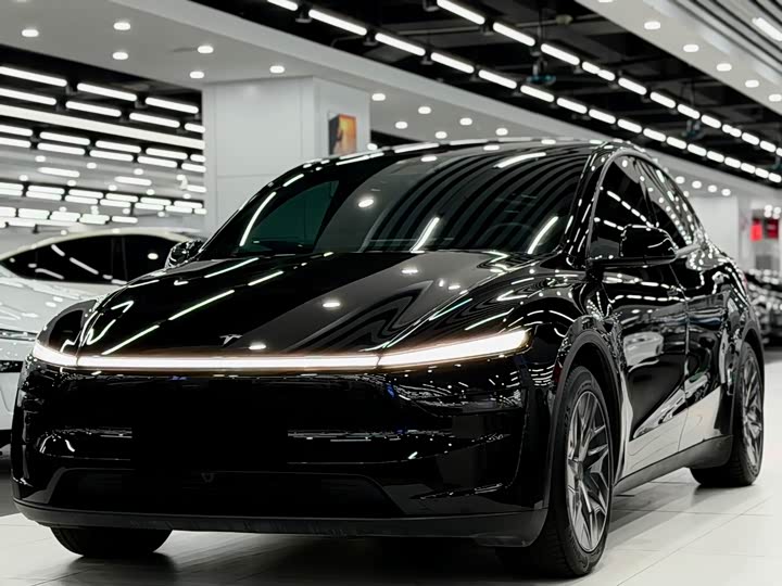 Model Y L 2025 Long Range AWD