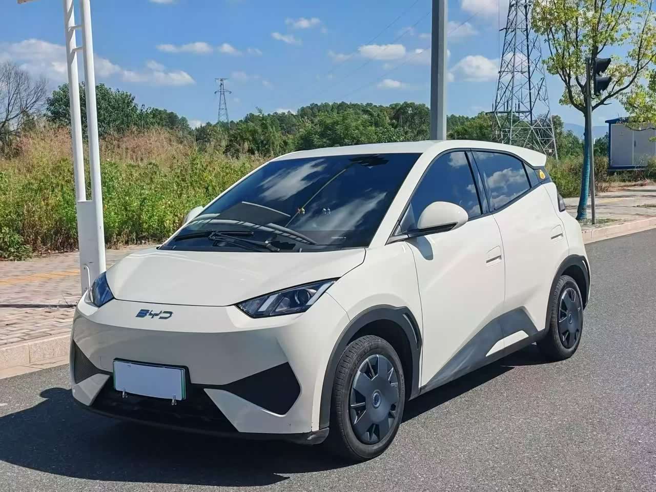Seagull 2025 305km