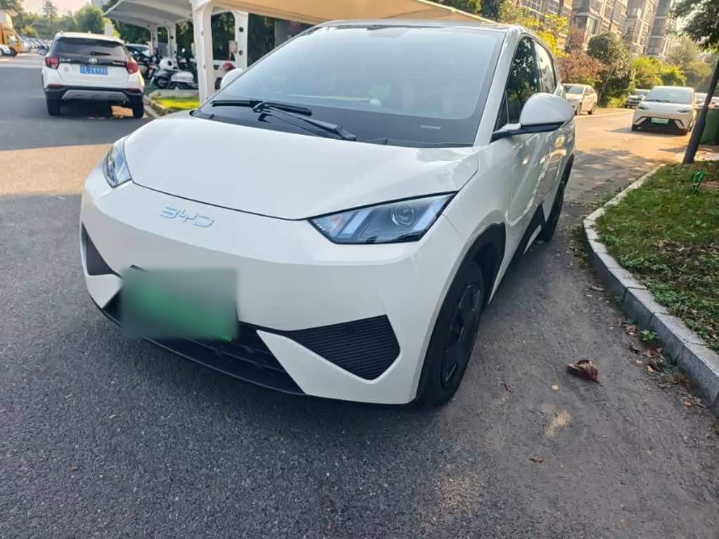 Seagull 2025 305km