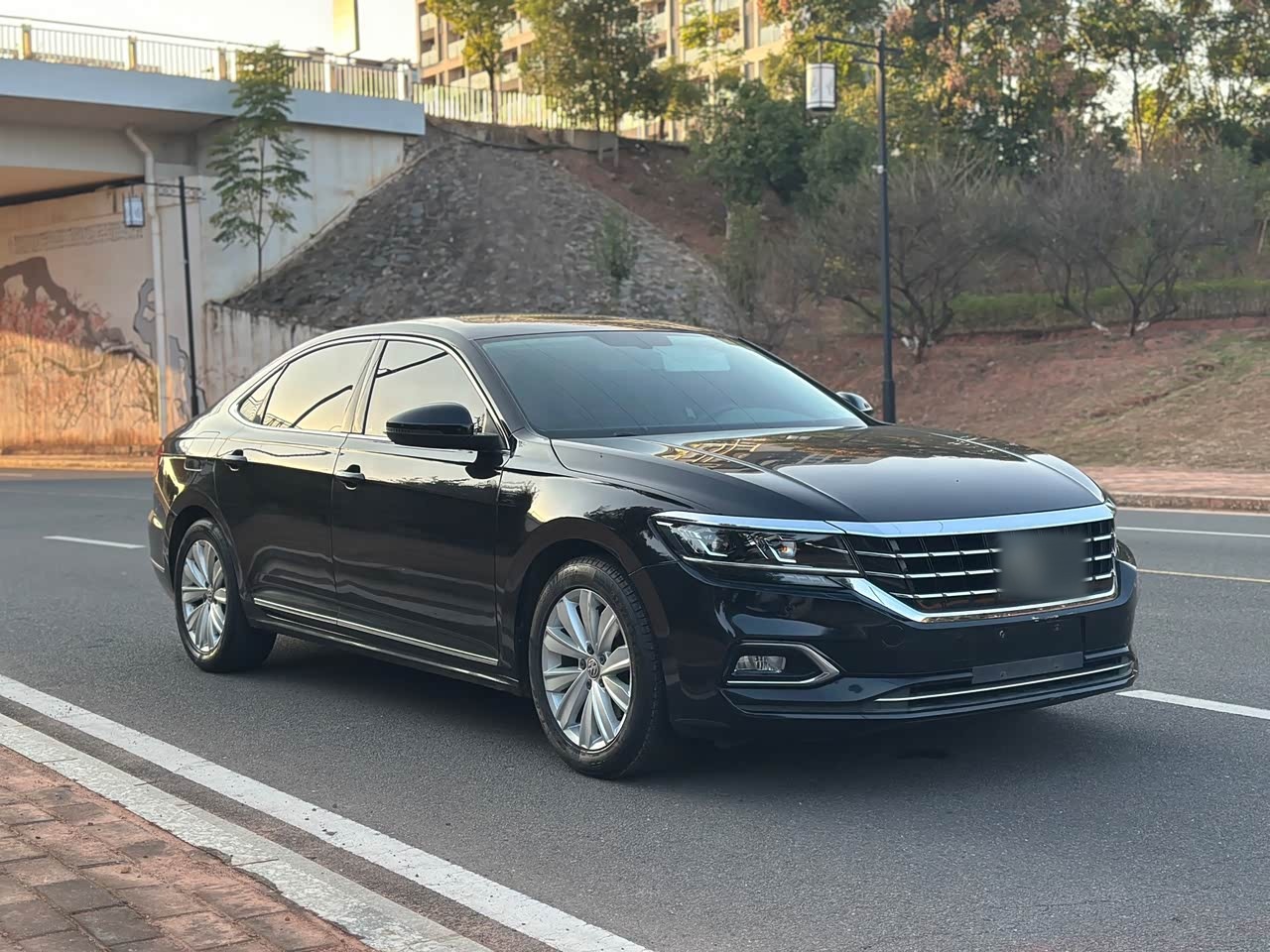 Passat 2020 330TSI Elite China VI