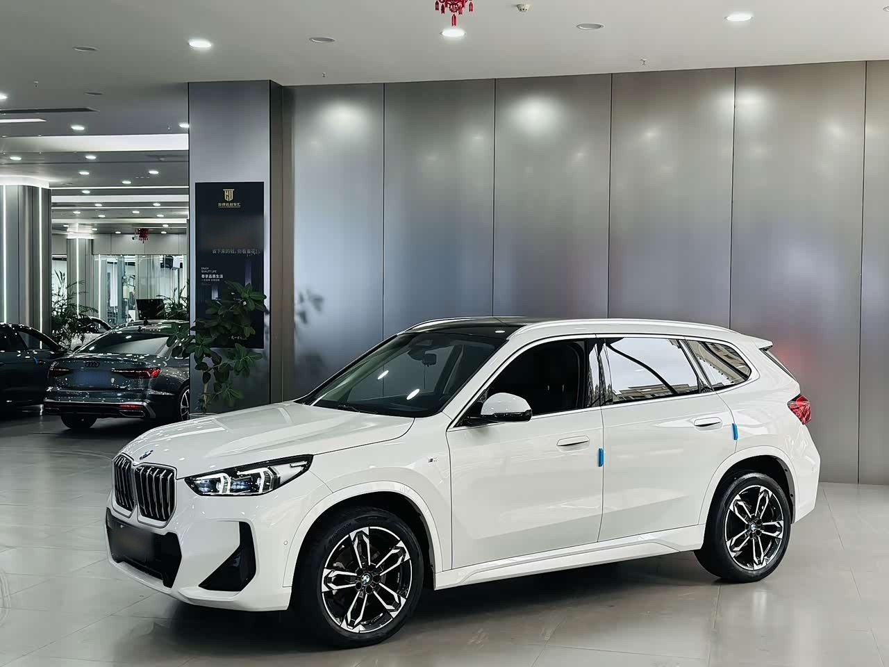 X1 2025 sDrive25Li M Sport Package