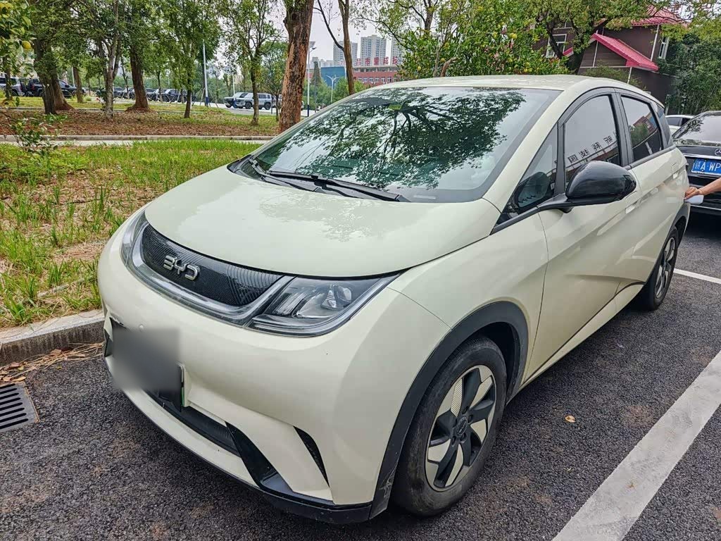 Dolphin 2024 Honor 420km