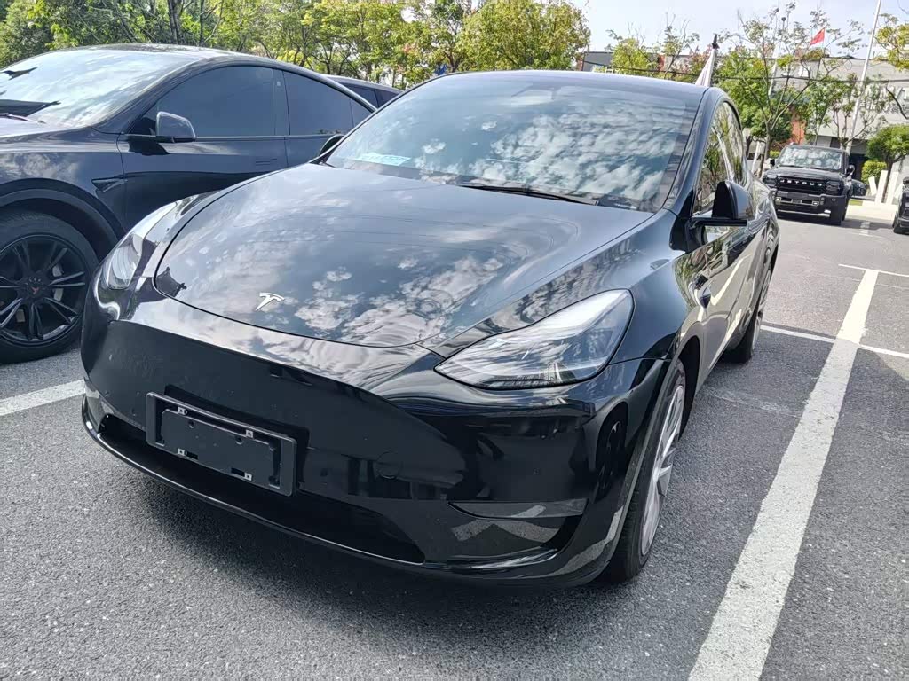 Model Y 2021 Standard Range RWD