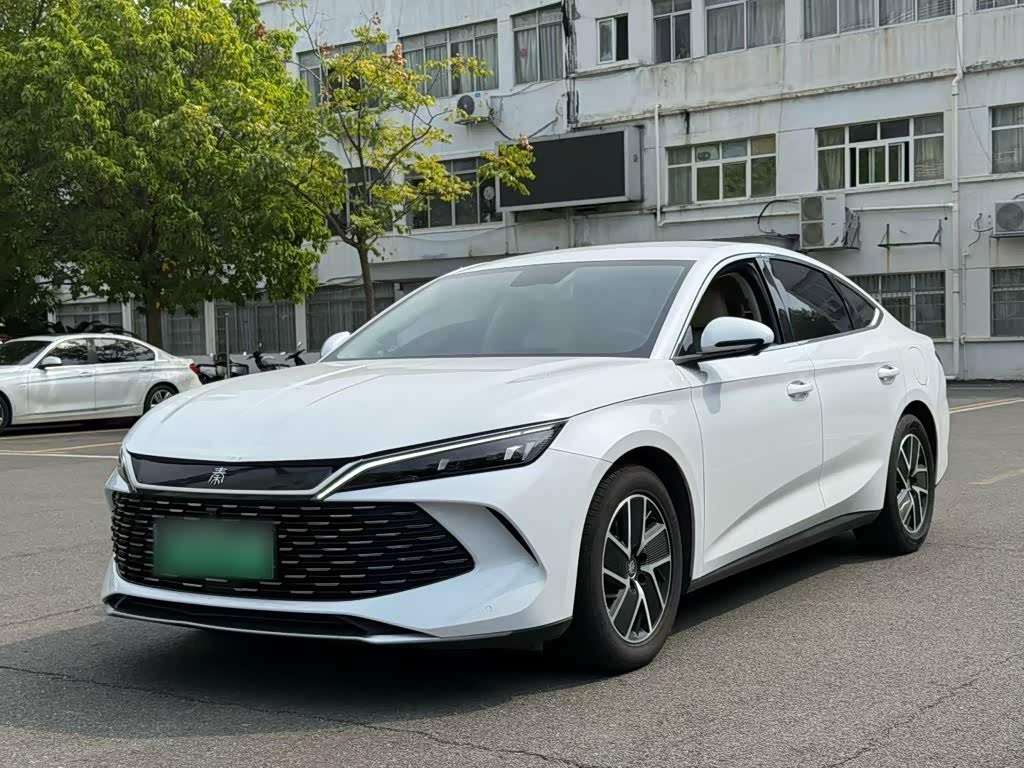 Qin L 2024 DM-i 80KM