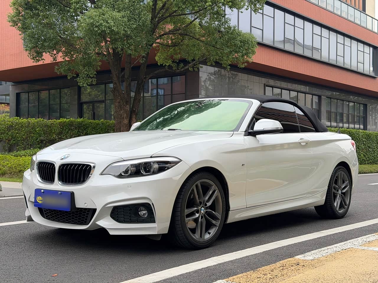 2 Series Imported 2018 225i Convertible Coupe M Sport