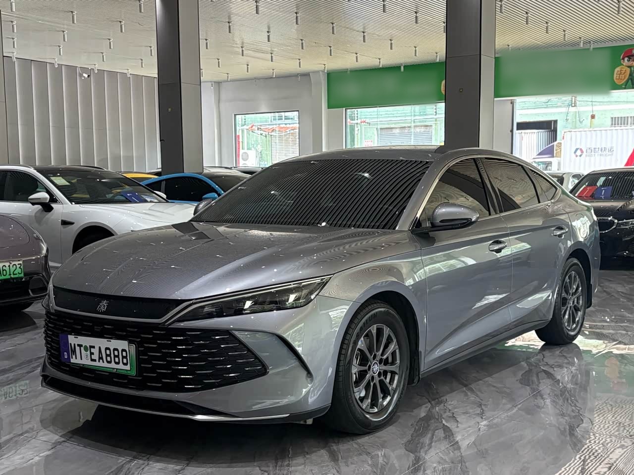 Qin L 2024 DM-i 80KM Leading