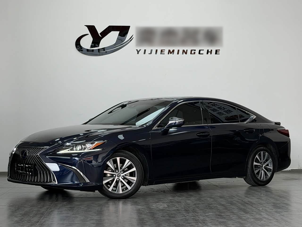 ES 2020 300h Excellence China V