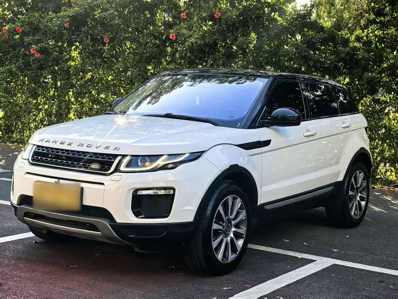 Range Rover Evoque 2018 240PS SE