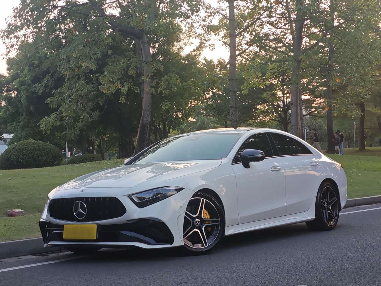CLS 2022 CLS 300 Luxury