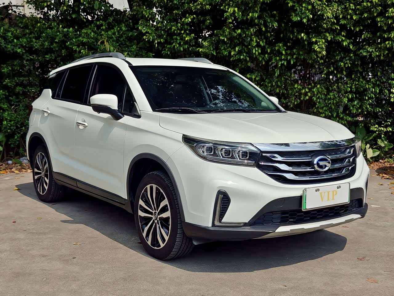 GS4 EV 2019 1.5L PHEV Exclusive
