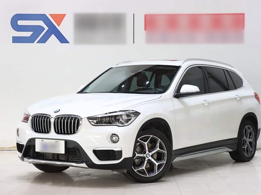 X1 2019 sDrive18Li Exclusive