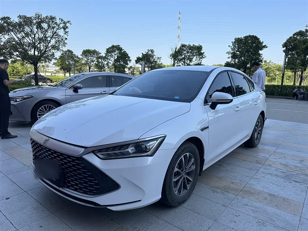 Qin PLUS 2024 Honor DM-i 55KM Leading