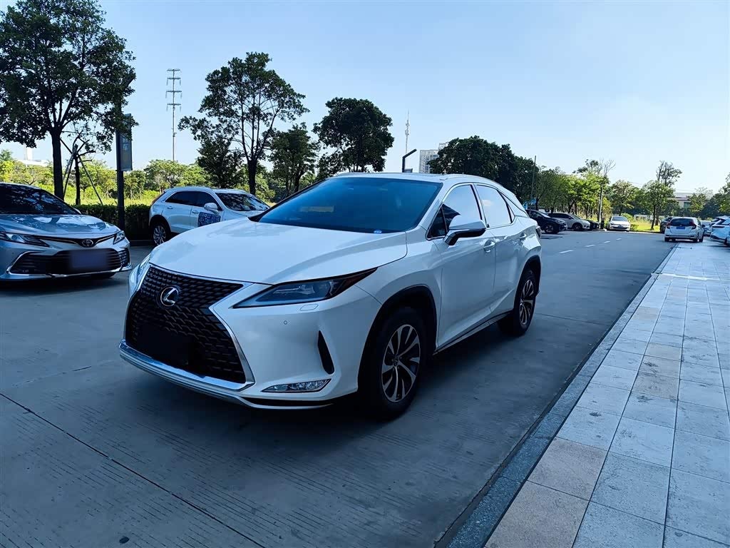 RX 2020 Facelift 300 RWD Elite