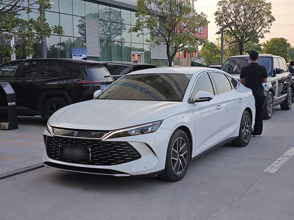 Qin L 2024 DM-i 80KM