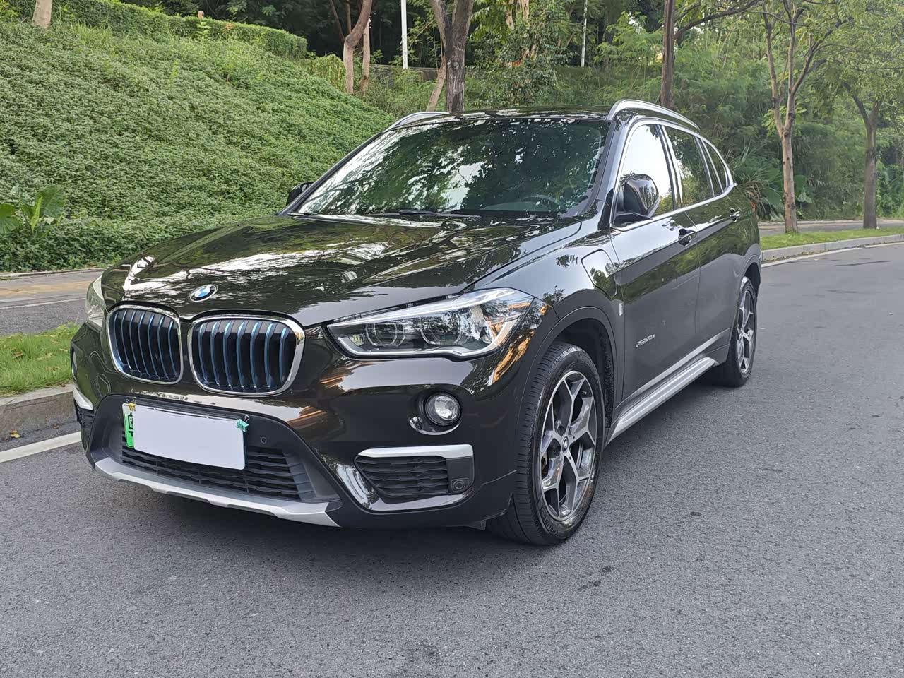 X1 EV 2018 xDrive25Le Luxury
