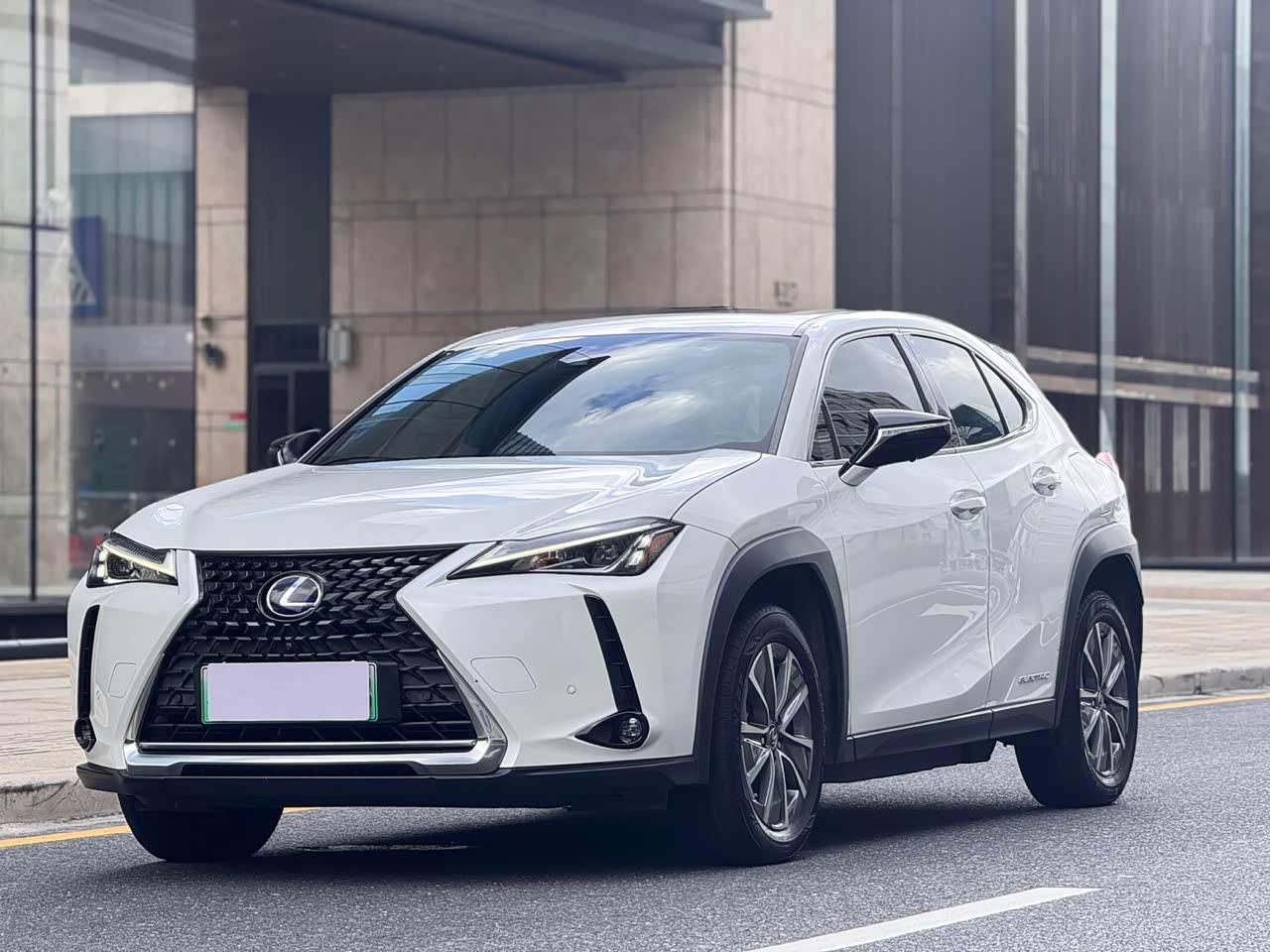 UX EV 2020 300e