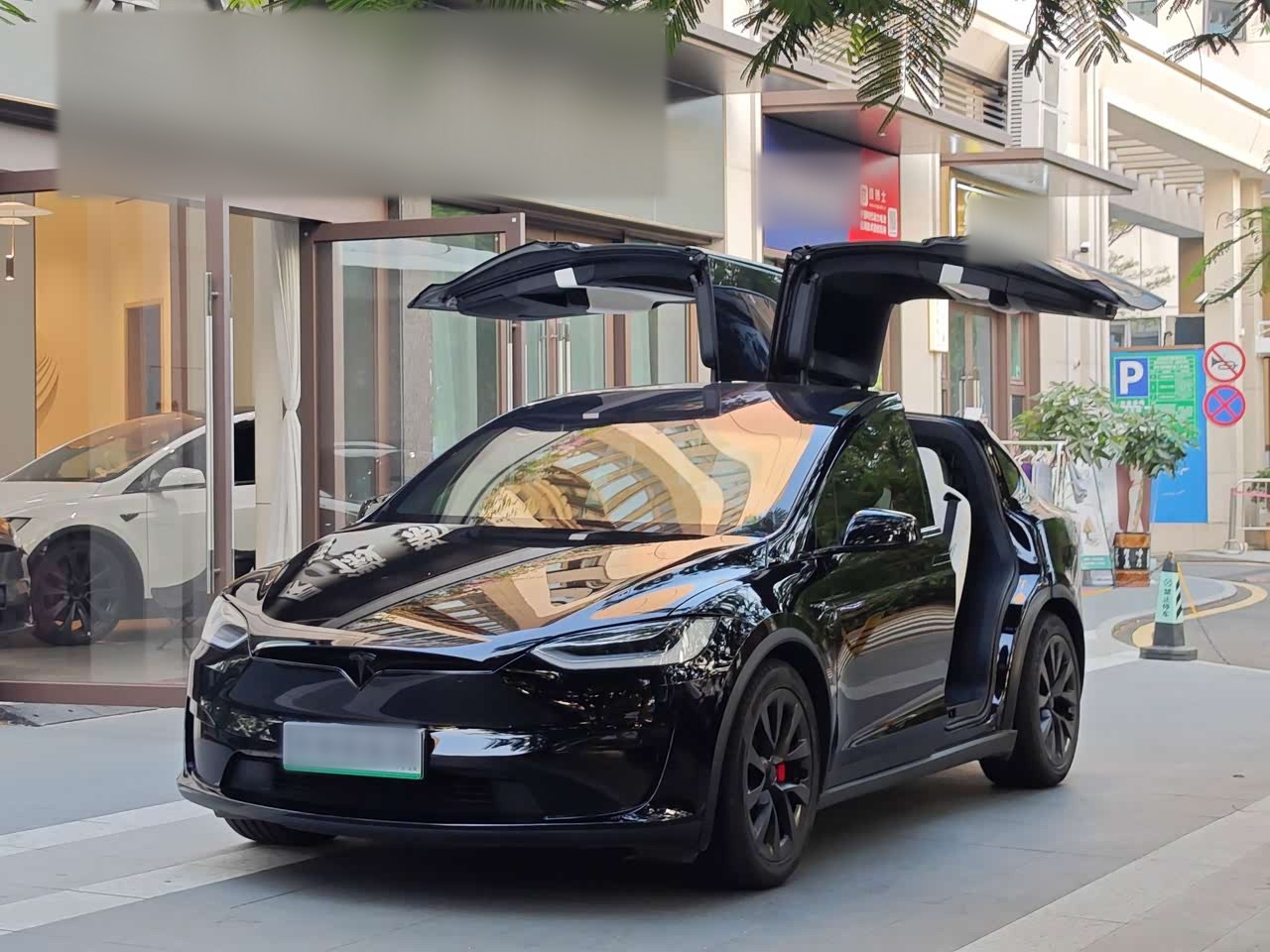 Model X 2023 AWD Plaid