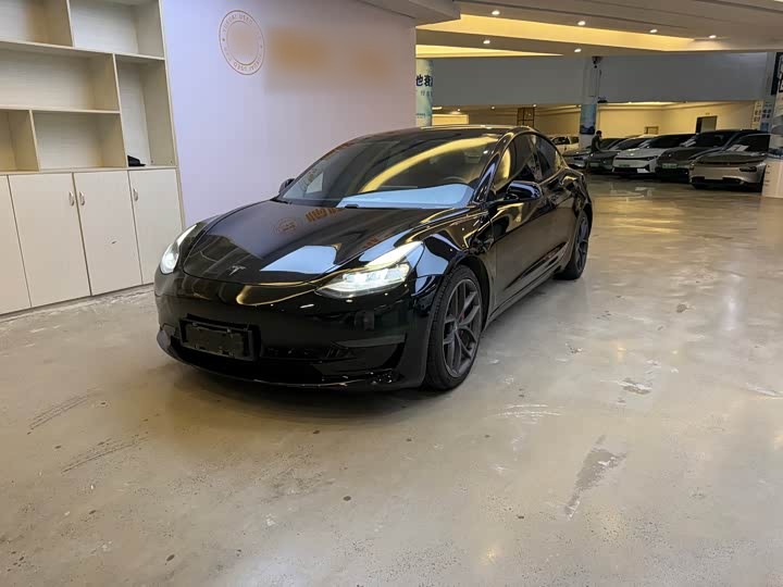 Model 3 2021 Performance AWD 3D6