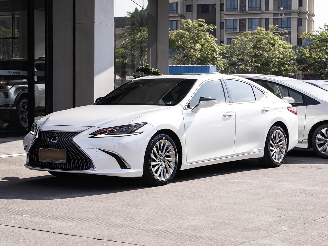 ES 2018 300h Executive China V