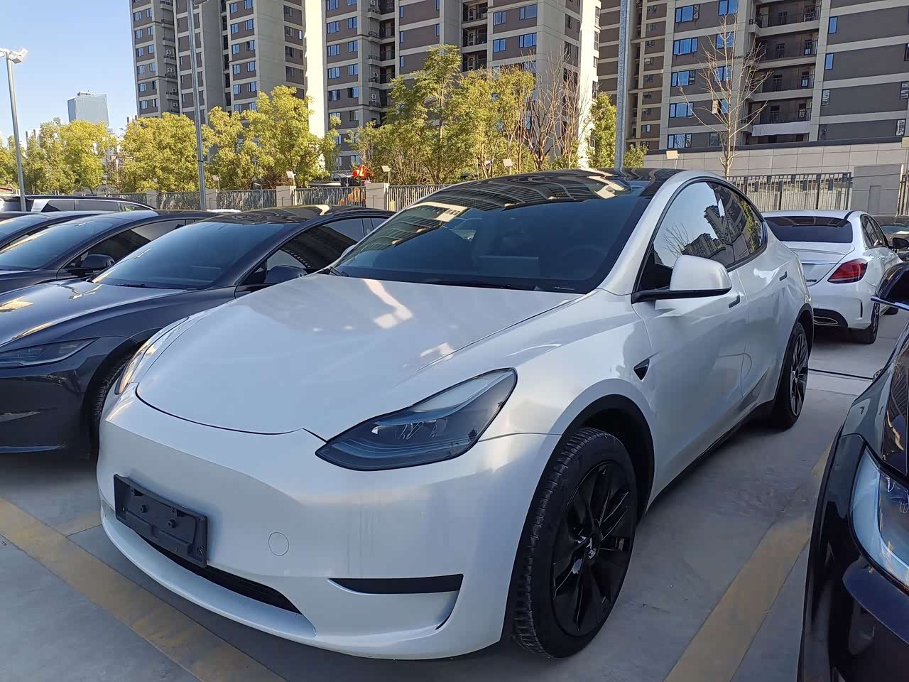 Model Y 2024 RWD