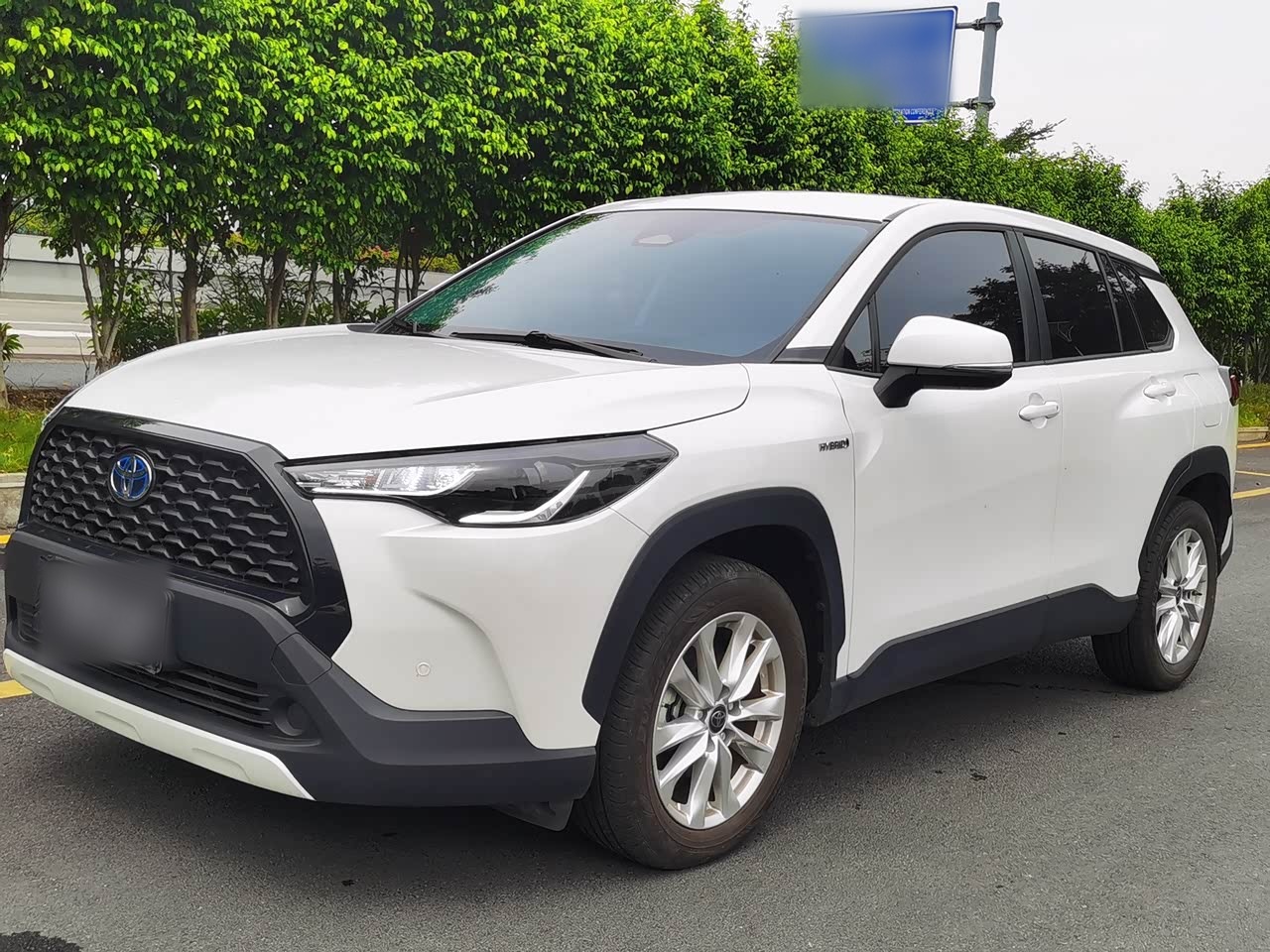 Corolla 2023 Hybrid 2.0L Elite