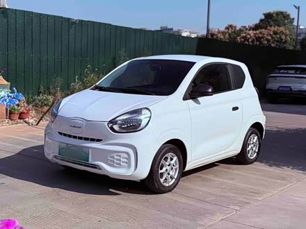 Clever R 2022 311km Yuan