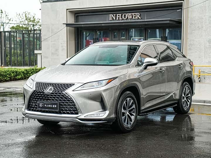 RX 2020 300 RWD Elite China VI
