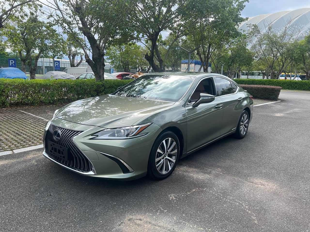 ES 2020 300h Excellence China V