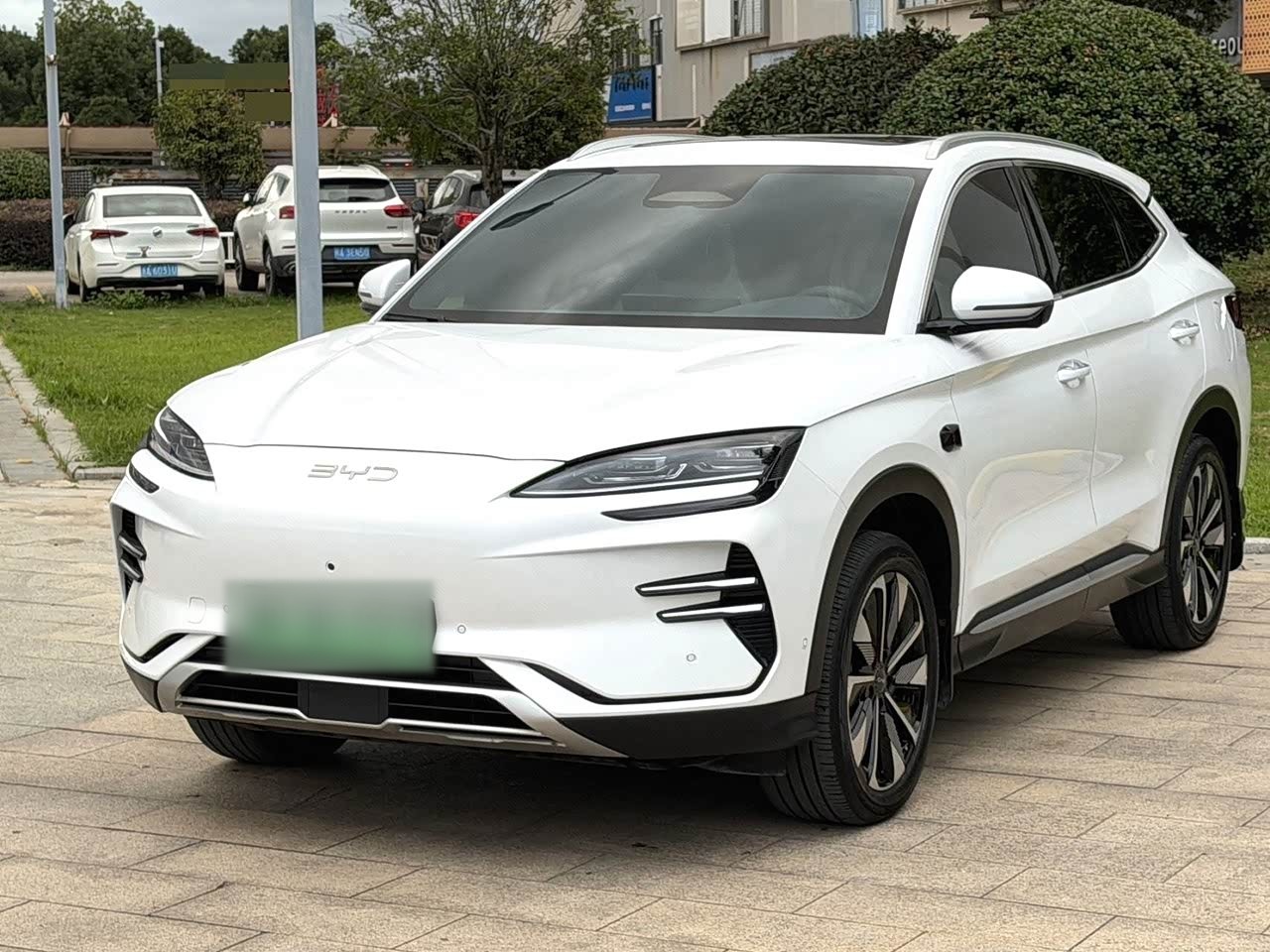 Song PLUS EV 2025 EV 520km Premium