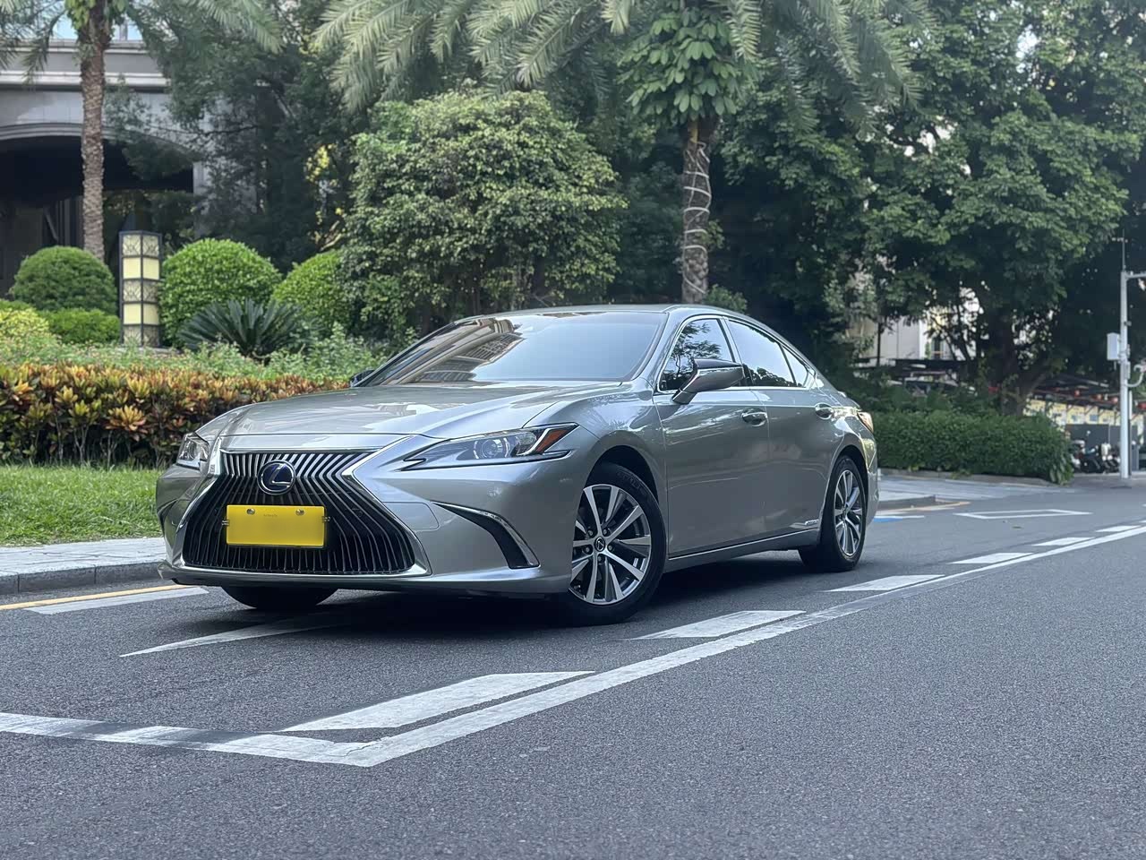 ES 2020 300h Excellence China V