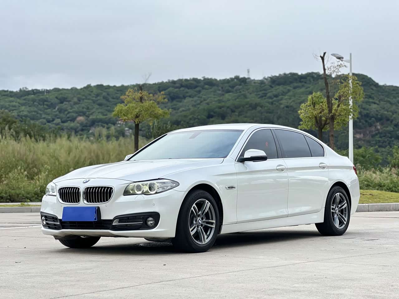 5 Series 2014 520Li