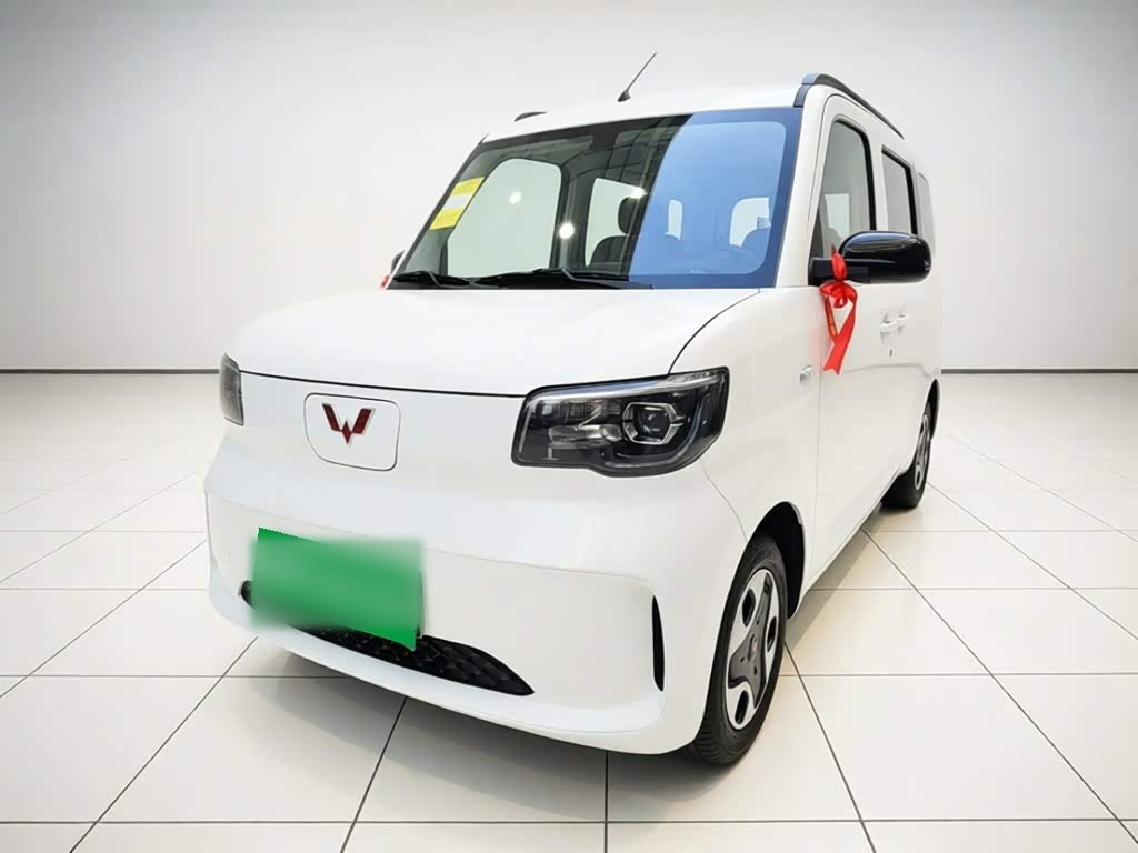 Zhiguang EV 2025 305km Progressive