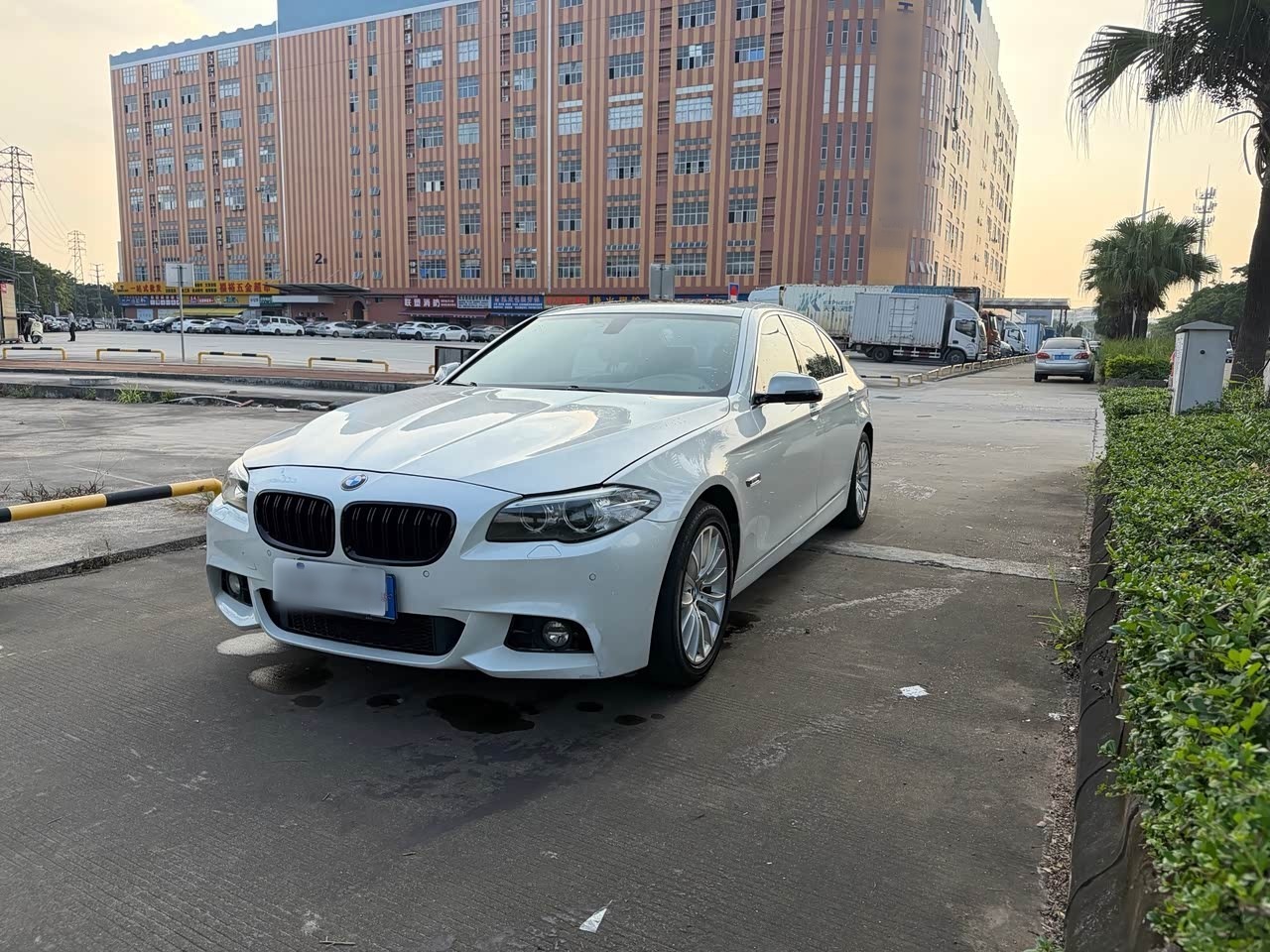 5 Series 2014 525Li Luxury Design Package
