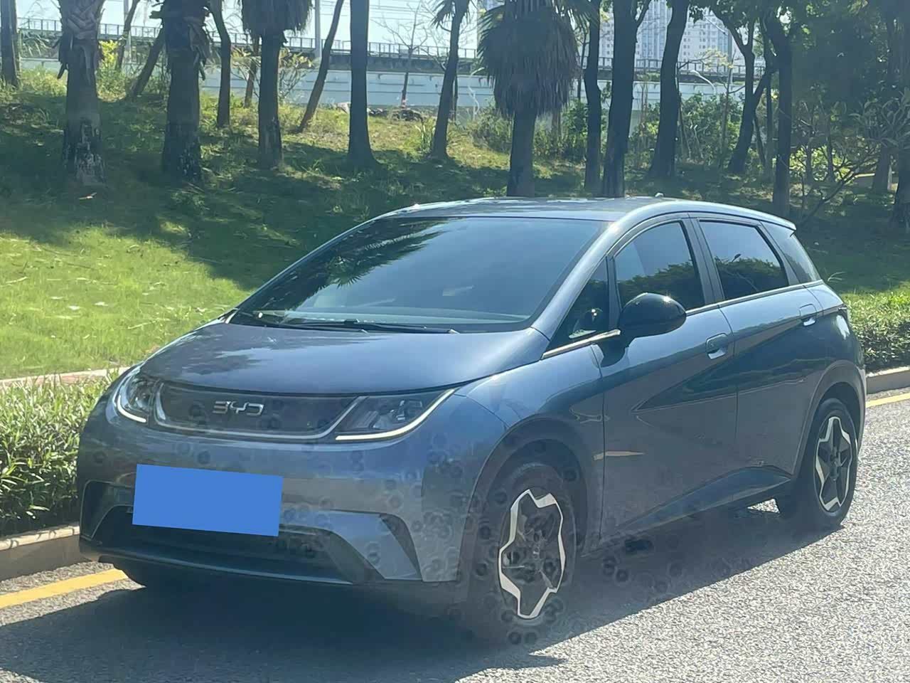 Dolphin 2025 420km