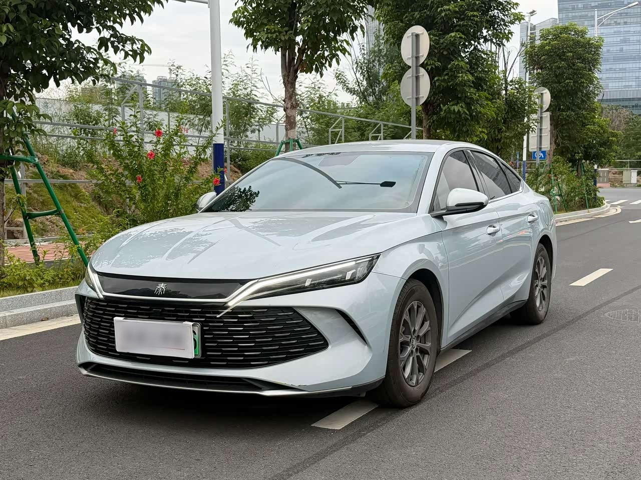Qin L 2024 DM-i 80KM Leading