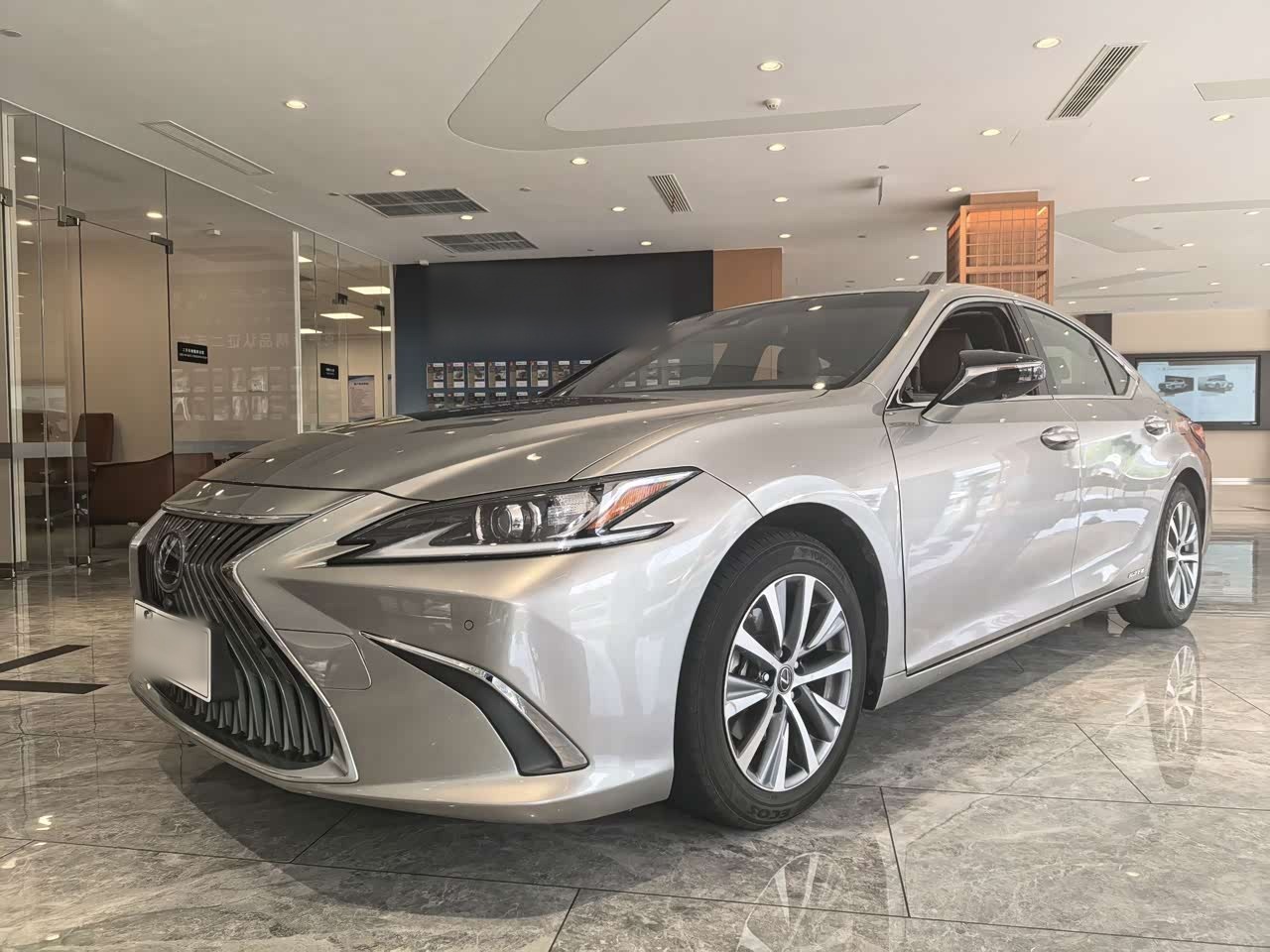 ES 2018 300h Excellence China V