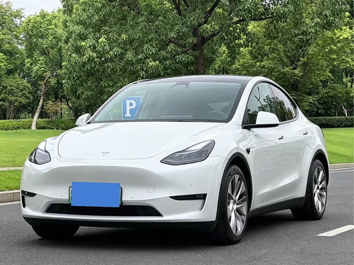 Model Y 2021 Standard Range RWD
